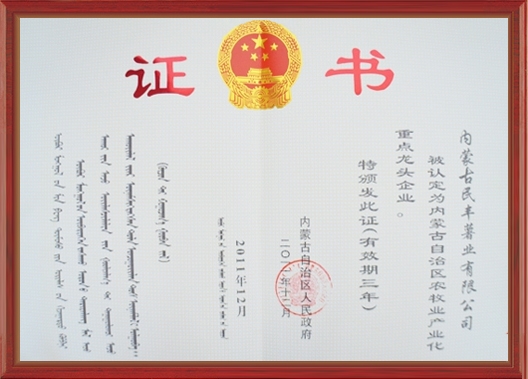 自治區(qū)農牧業(yè)產業(yè)化重點龍頭企業(yè)