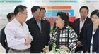 市委副書記、代市長艾麗華來我公司考察、調(diào)研