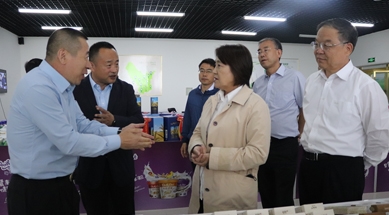 內蒙古自治區(qū)黨委副書記、自治區(qū)主席布小林蒞臨公司視察工作